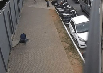 Tuvieron que rescatarla en la calle.