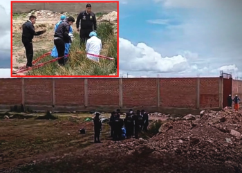 Un pequeño en un terreno baldío.