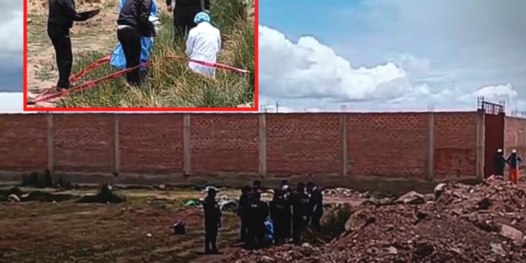 Un pequeño en un terreno baldío.