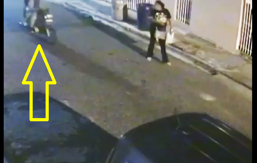 ANGELITOS A UNA DAMA