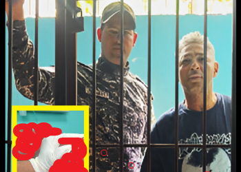 SE LO ESTABA COMIENDO