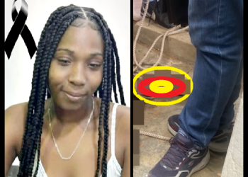 SALE HORRIPILANTES DETALLES