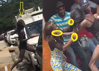 DOS DAMAS SE QUITAN LAS PELUCAS