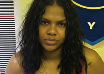 INVESTIGACIONES DE CASOS