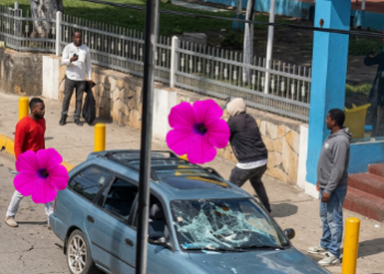 EN LAS CALLES DE MI PAÍS