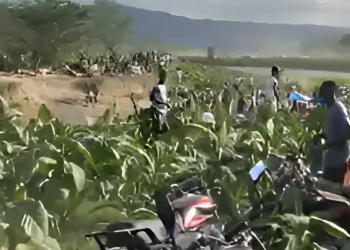 EL CORRE CORRE EN LA FRONTERA