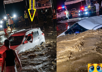EL RIO SORPRENDE A LOS BAÑISTAS