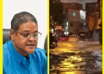 REPORTES DE LA CANTIDAD